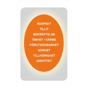 Grundläggande behov (fickformat)